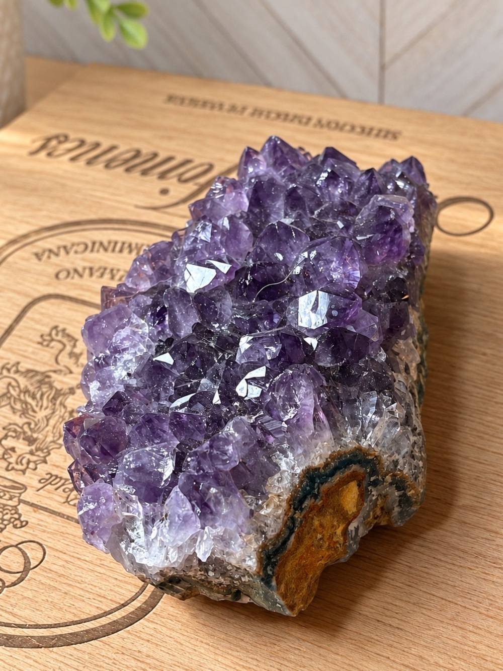 Deep Purple Uruguayan Amethyst Cluster - Grade A Raw 4”